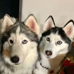 Meet your Posher, Cori